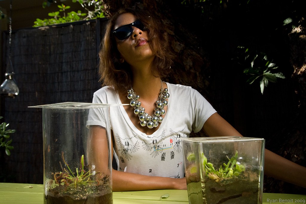 DSC_0785 Ryan Benoit Flickr