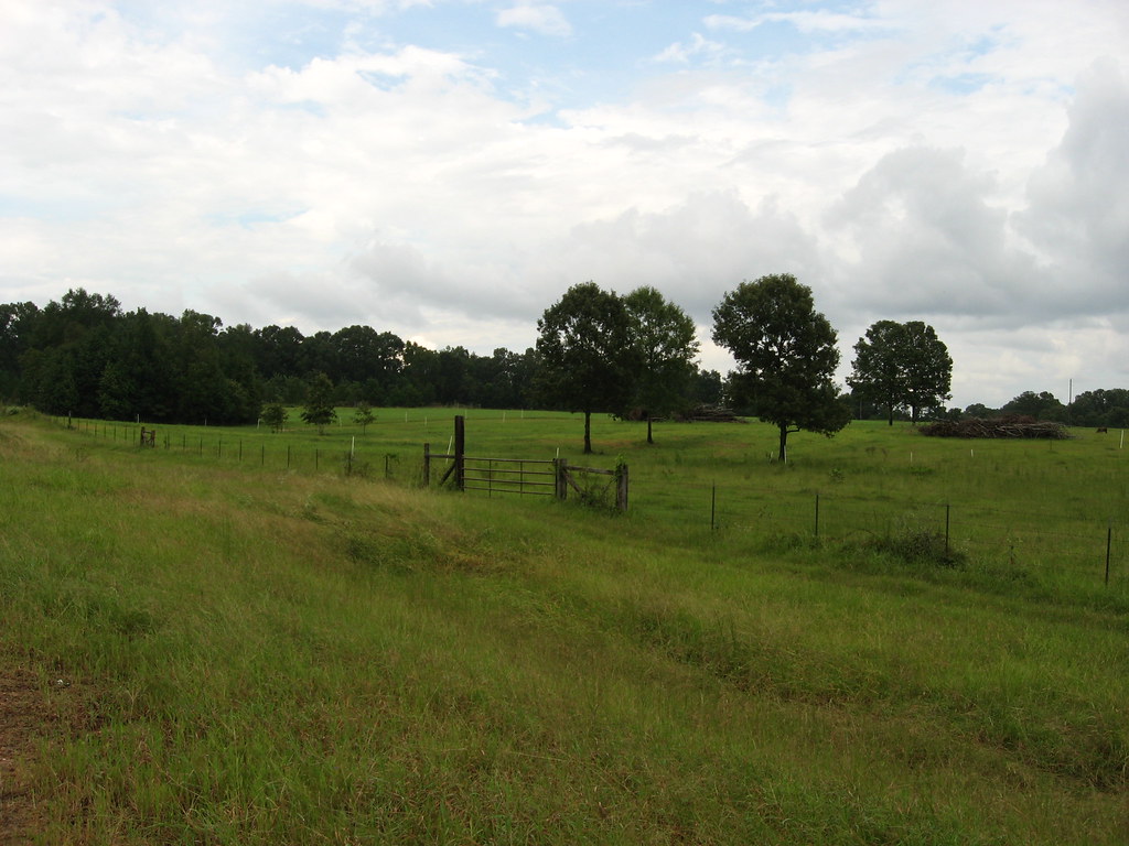 Wilkinson County, Mississippi Wilkinson County is a county… Flickr