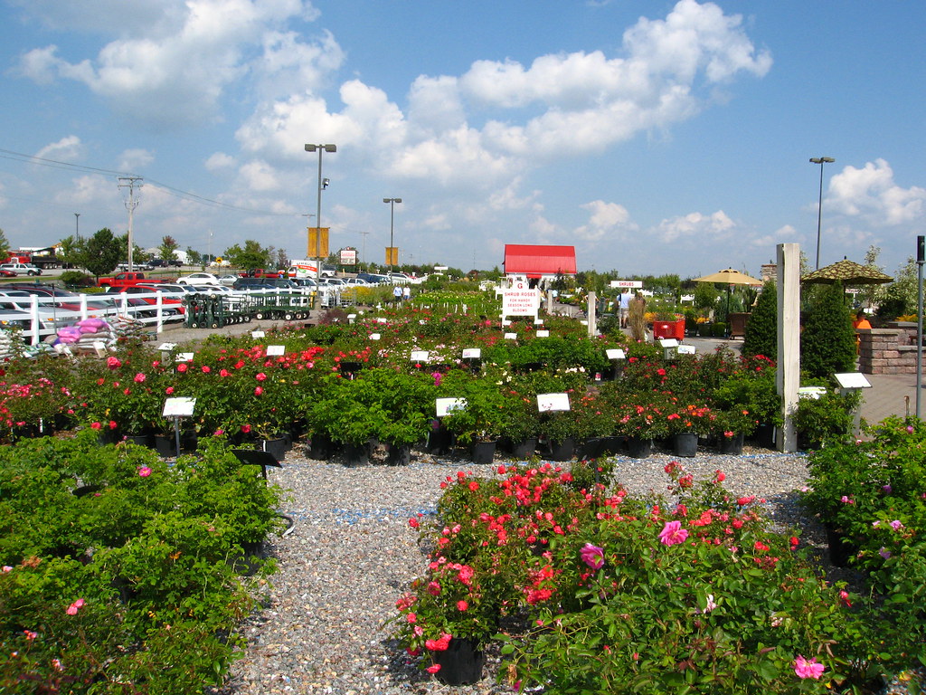 September day Gertens is a huge garden center in the Twin … Flickr