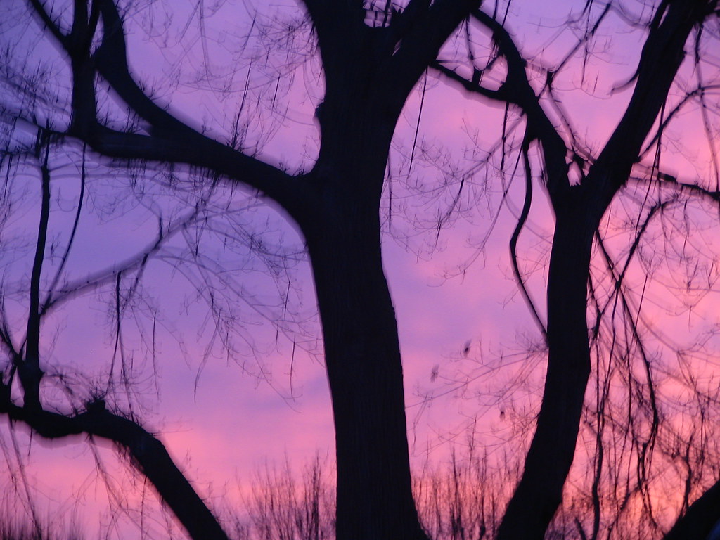 Elevation of 6 Laurel Ct, Clayton, NJ, USA Topographic Map Altitude Map