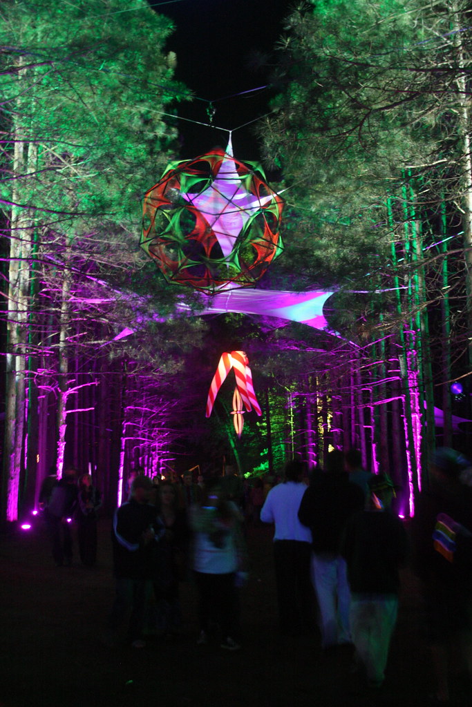 ROTHBURY 2009 Friday The Sherwood Forest during the secon… Flickr