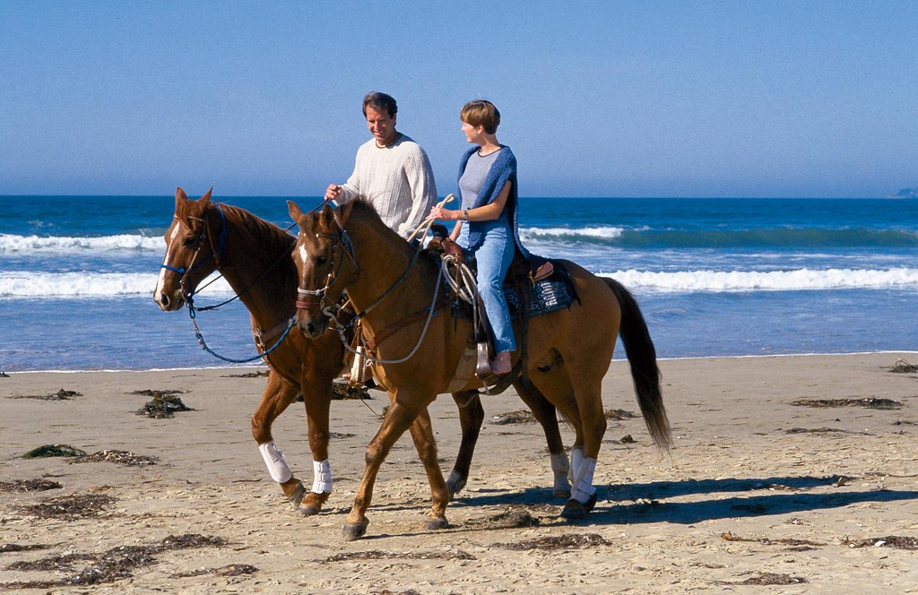 Horse Back Riding on Pismo Beach You can ride horses south… Flickr