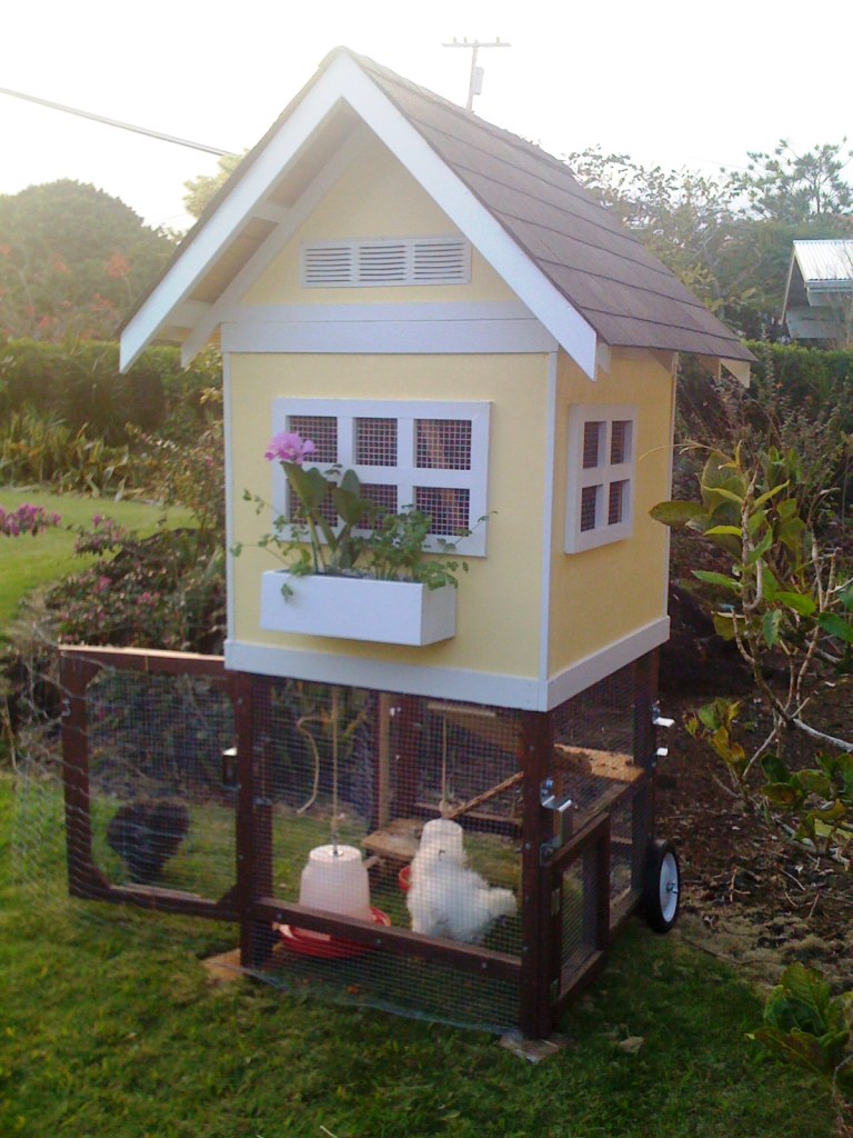 Lily and Daisy's condo This is the chicken "coop" that I j… Flickr