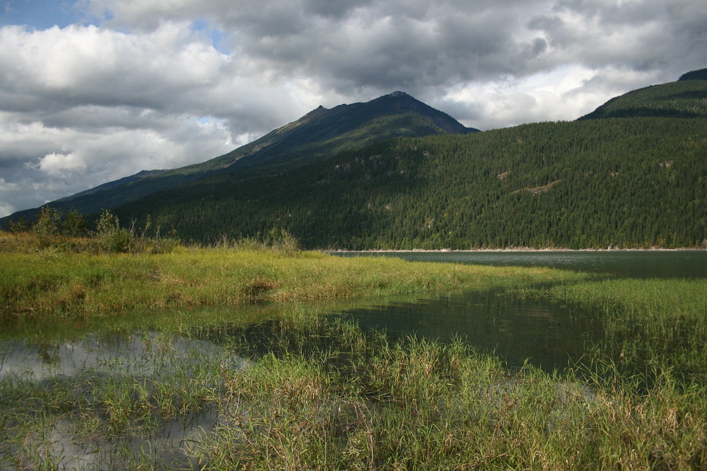 Blanket Creek Provincial Park Looking across the Columbia … Flickr