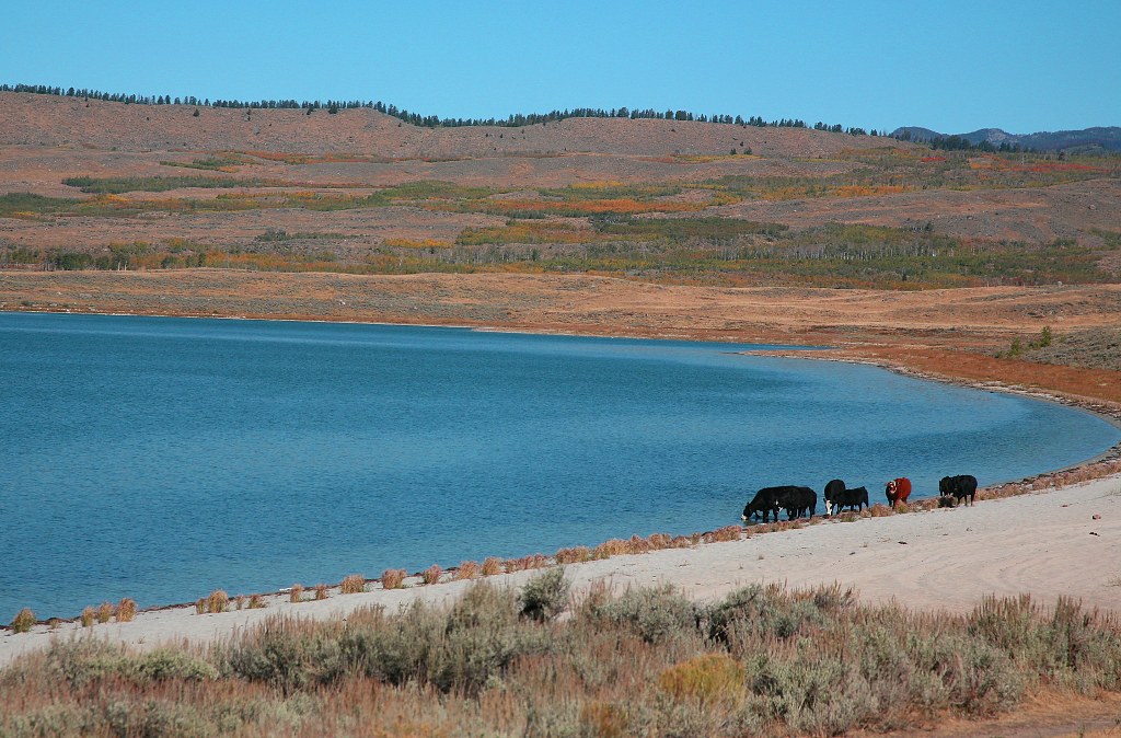 Elevation of Wilson St, Pinedale, WY, USA Topographic Map Altitude Map