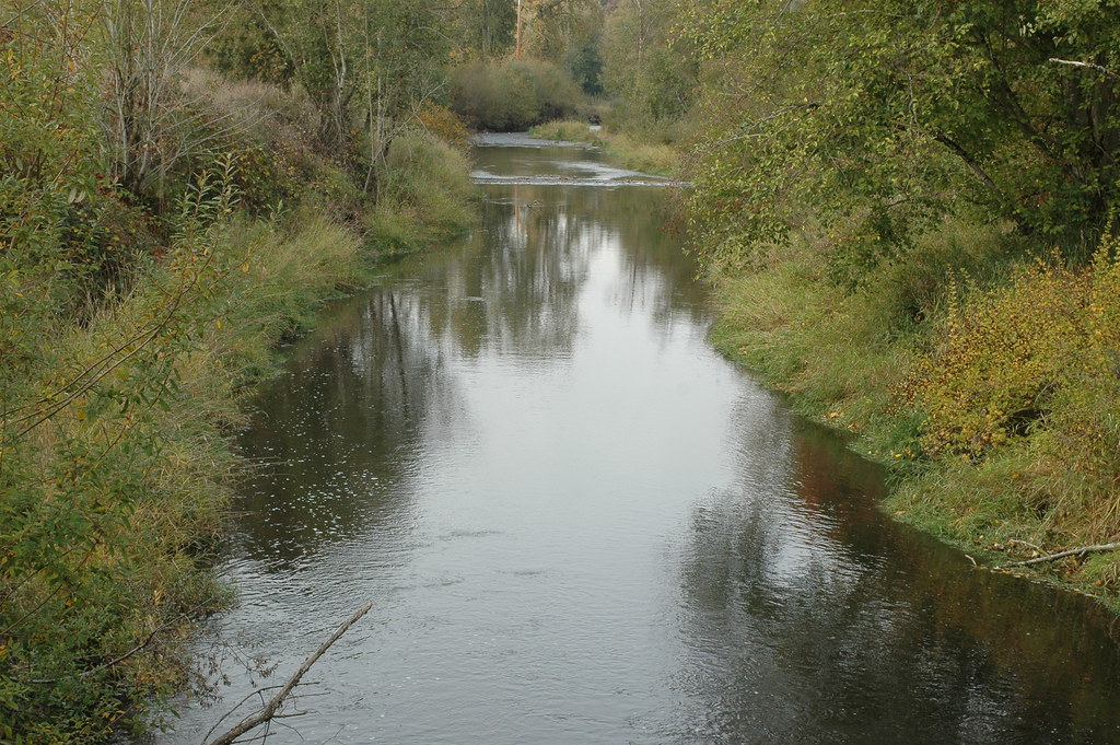 Salmon Creek Park Carrie Owens Flickr