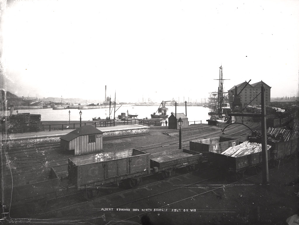 025643Albert Edward Dock North Shields C.1905 Description… Flickr