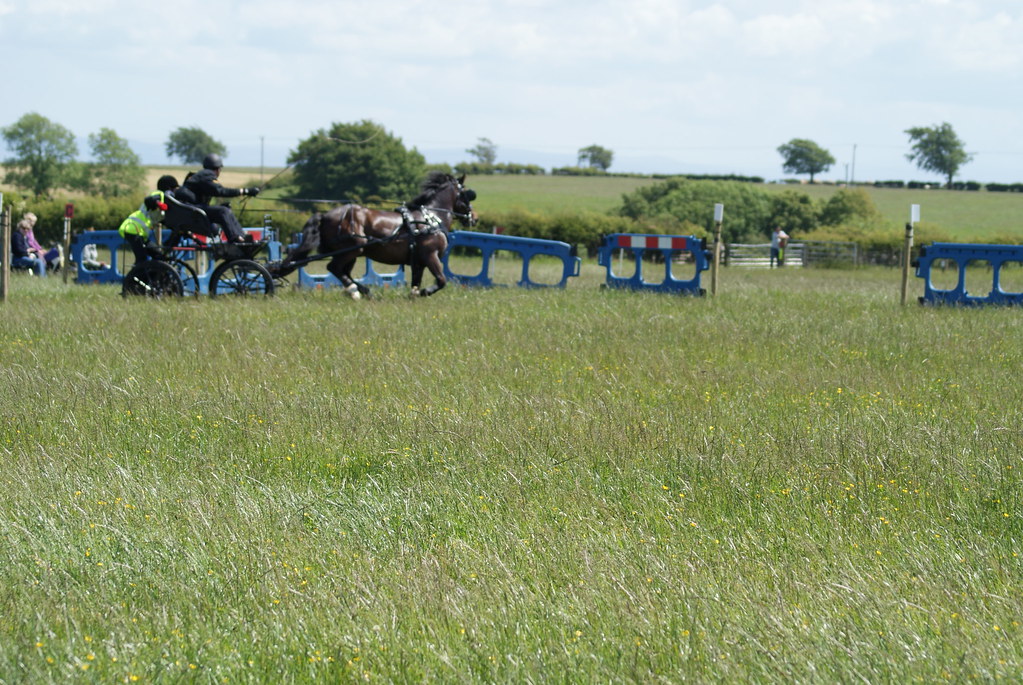 flowdons H D T 152 Dumfries and Galloway Horse Driving Club Flickr