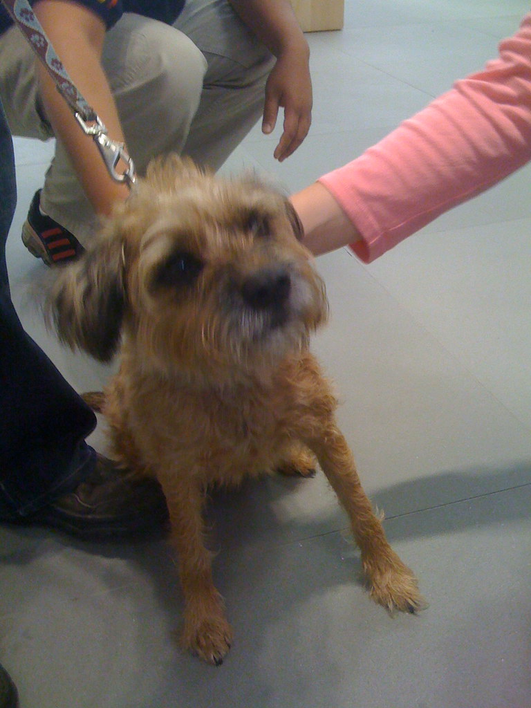 Bucky John Lawler Flickr