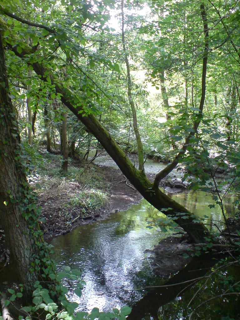 Leafy Glade and river, Eckington, Derbyshire John Donkersley Flickr