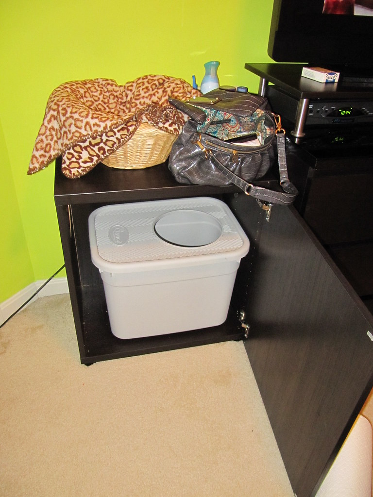 IKEA hack litter box Bought a Besta frame and door… Flickr