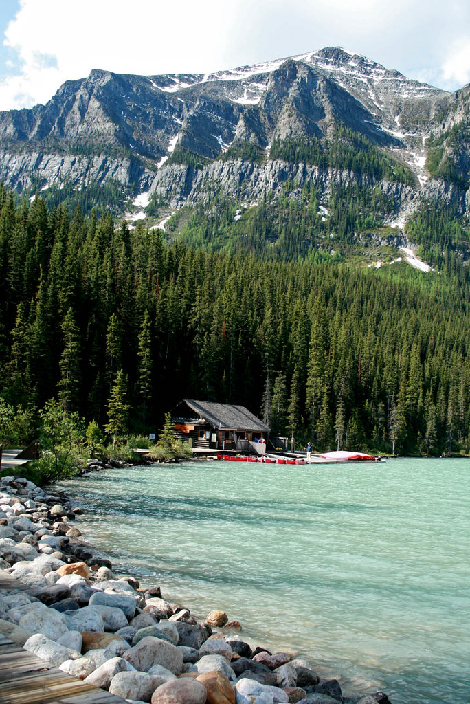 Lake Louise Wild Rose Alberta Thais N F Morales Flickr