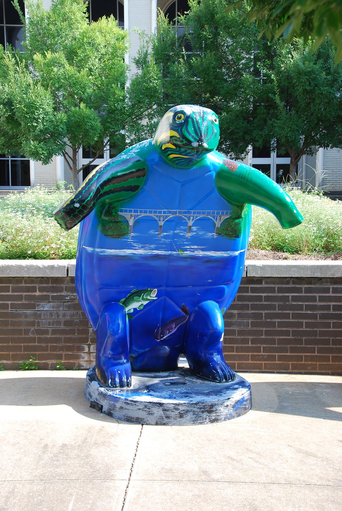 Albany GA turtles 10 catherdr Flickr