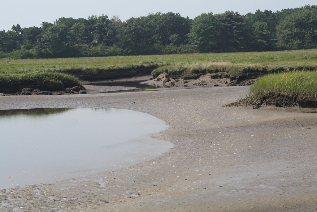 08 15_5699 Low tide on Parson's Beach, Kennebunk, Maine. Michael O