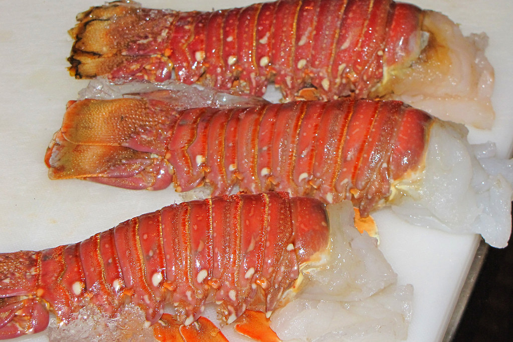 Australian lobster tails Being prepared to be cooked for s… Flickr