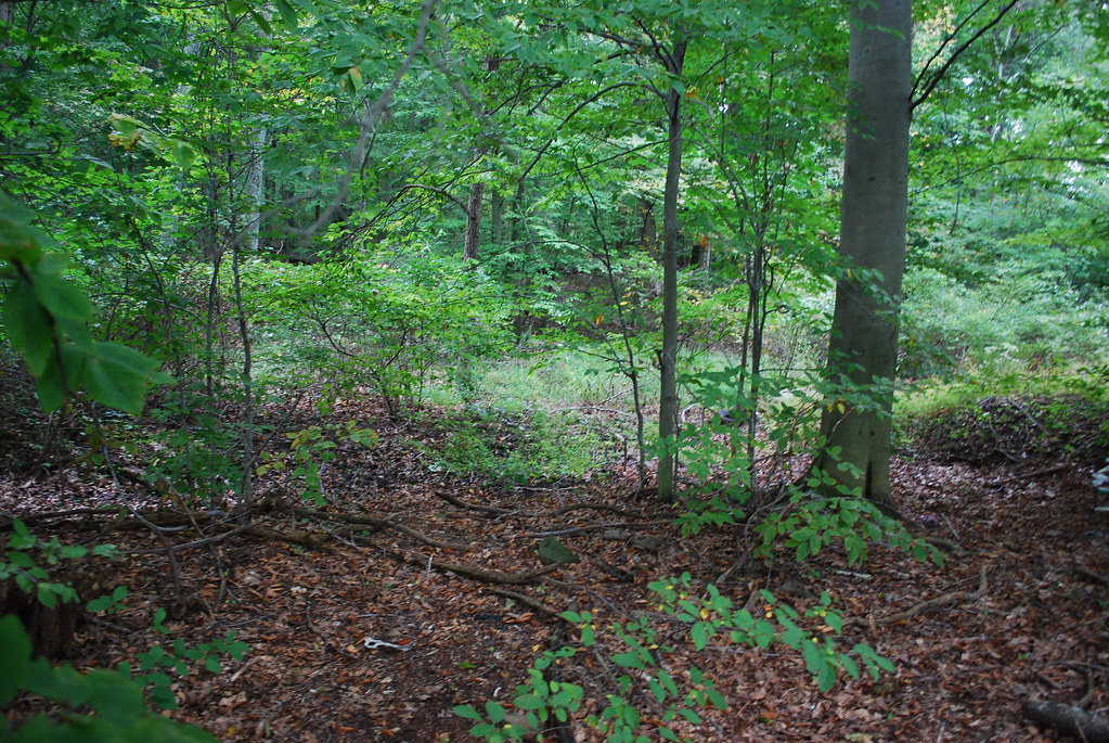 Land of Nicholas Shatto012 Franklin Township, York County,… Flickr