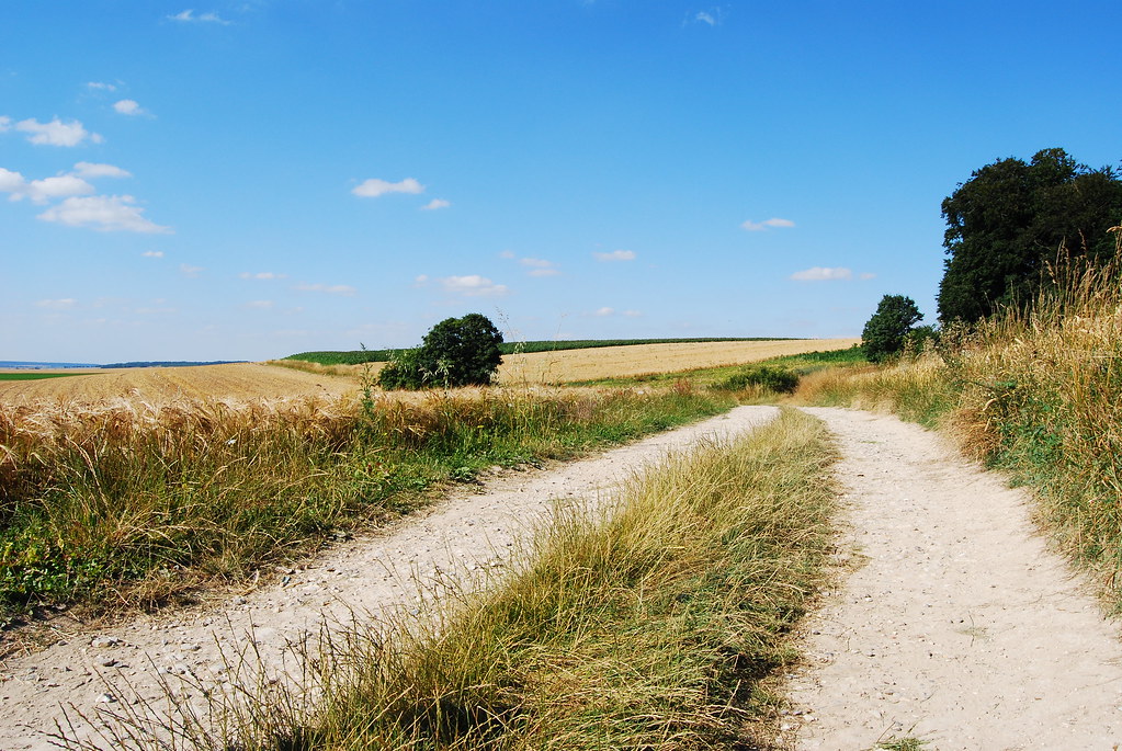 Chemin de traverse Sylvain CITERNE Flickr