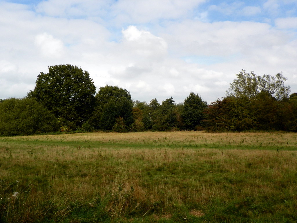 GOC London Colney 049 Colney Heath LNR Colney Heath Local… Flickr