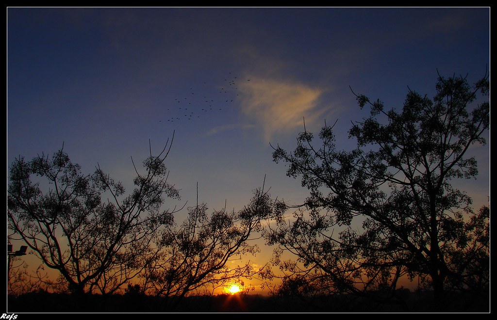 coucher de soleil sur la savane zupèhaine... David Flickr