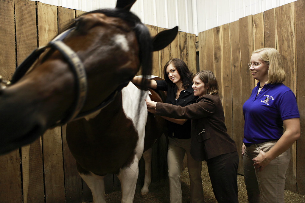 8228 Midway College Equine Studies Program www.midway.edu/… Flickr