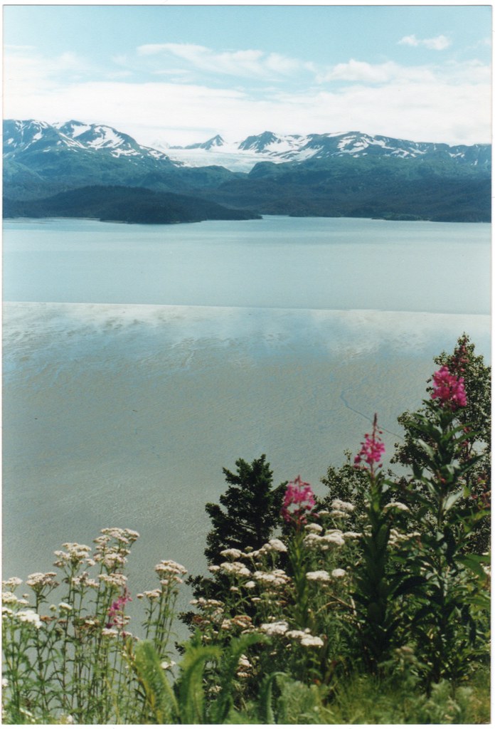 Low tide Kachemak Bay Thren09 Flickr