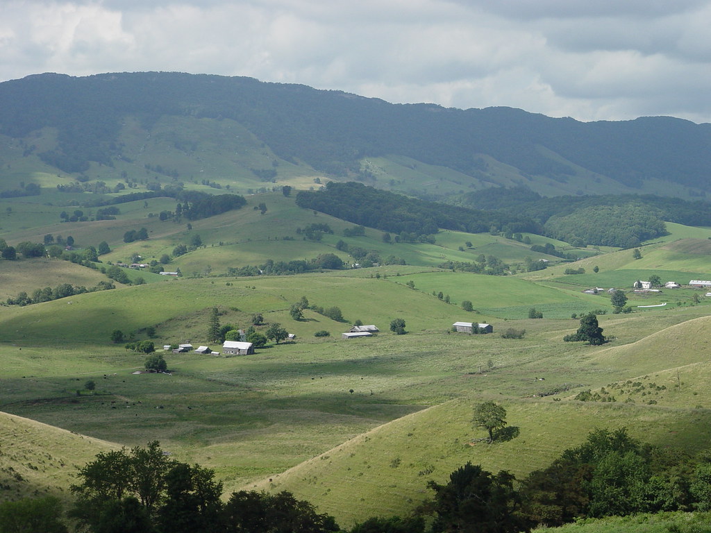 Elevation of E Riverside Dr, North Tazewell, VA, USA Topographic Map