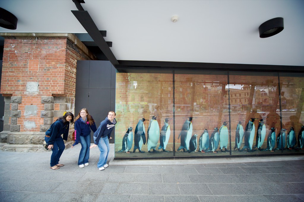 Melbourne Aquarium Read about this part of the trip at my … Flickr