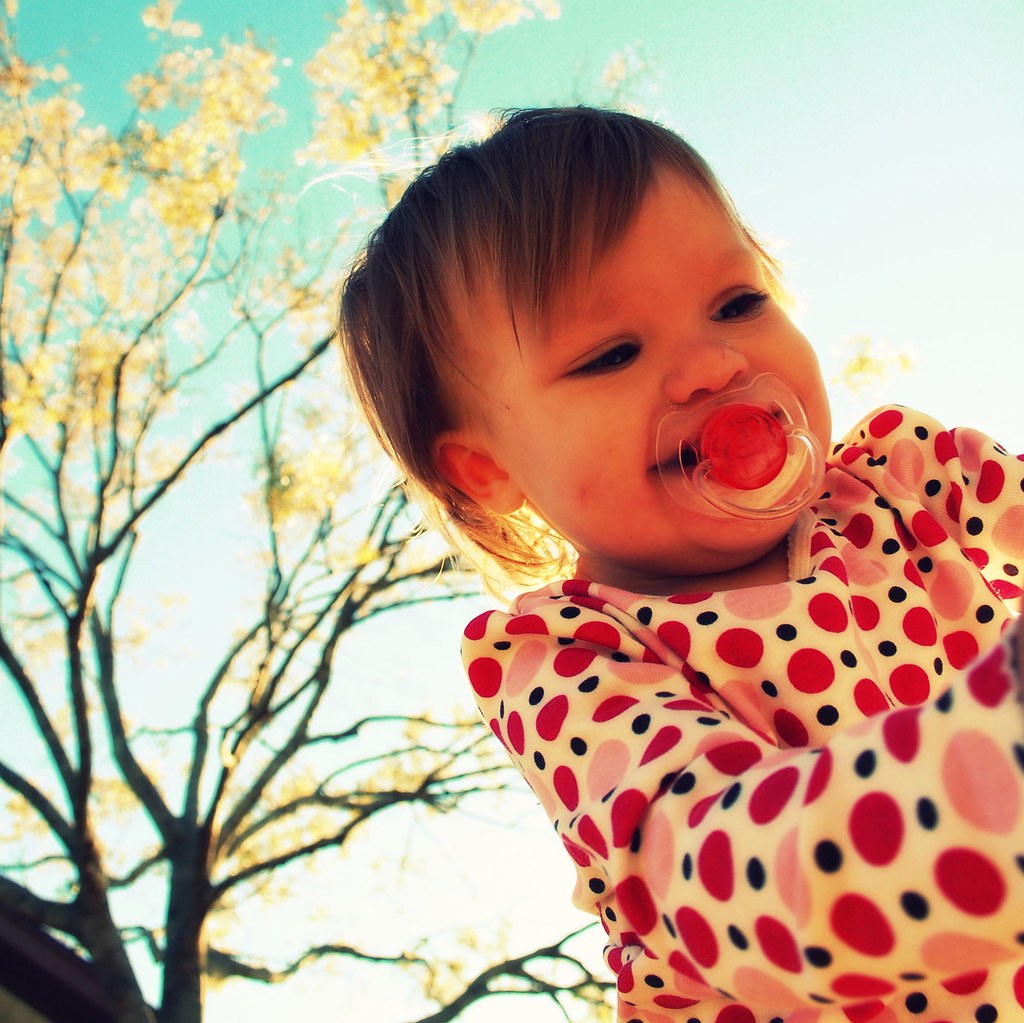 Day 20 a binky in the park, who could ask for anything mo… Flickr