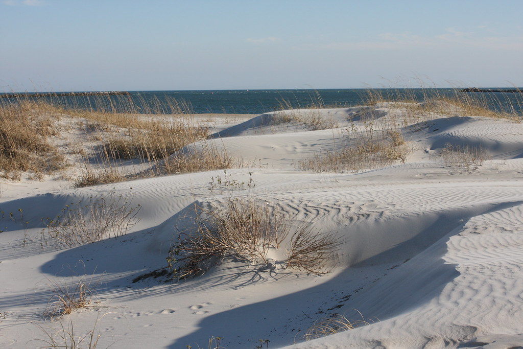 Wrightsville Beach Sand Dunes RightBrainWorkout Flickr