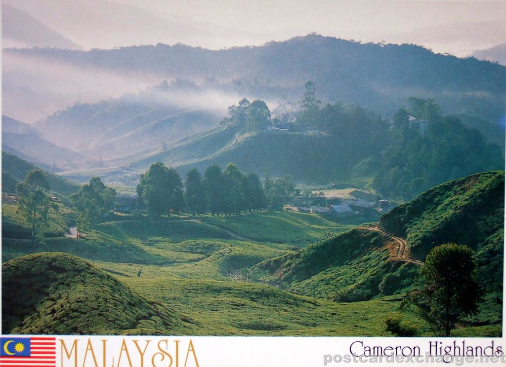 postcard Cameron Highlands Malaysia postcardexchange.n… Flickr