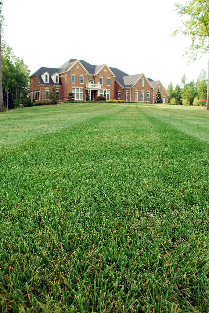 Denison Landscaping (71) David Clow Flickr