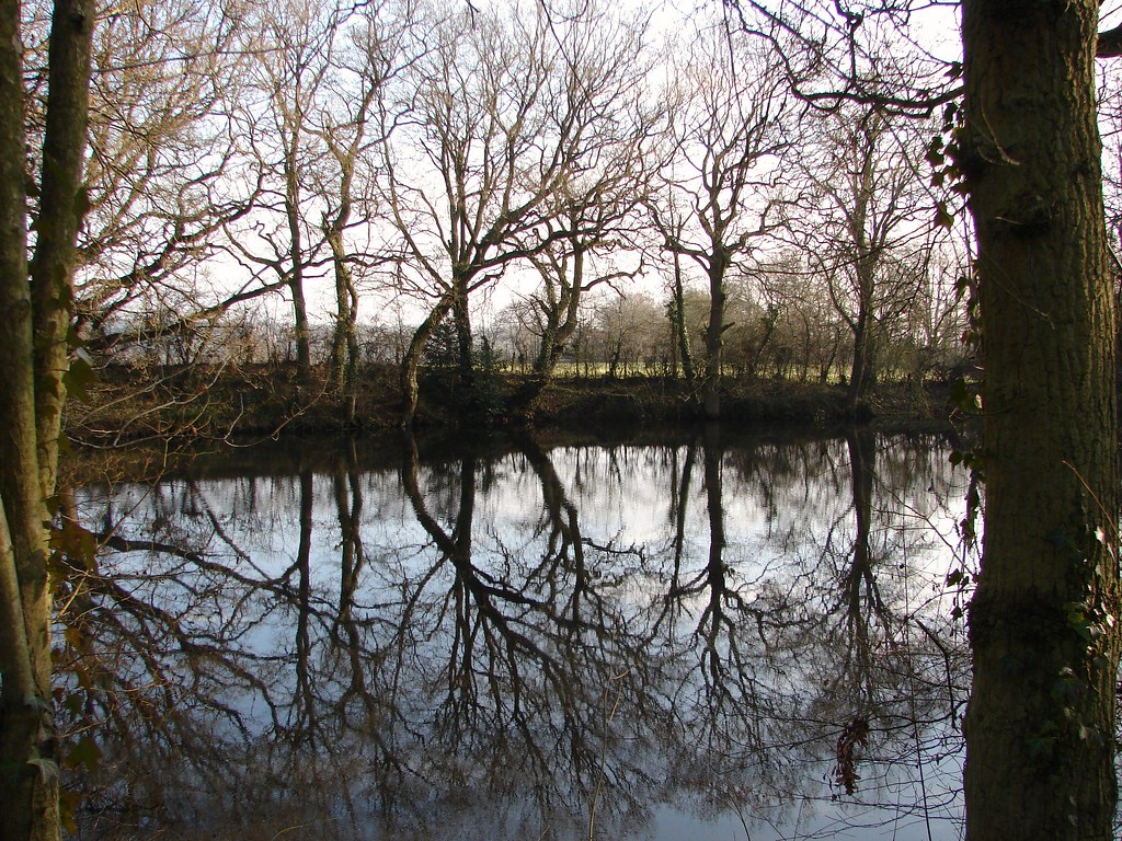 Horns lodge 29.01.2009 005 Jukidd Flickr