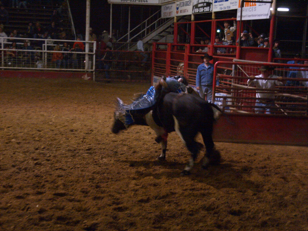 Liberty Texas TVE Fairgrounds January 31 2009 Open Rodeo W… Flickr