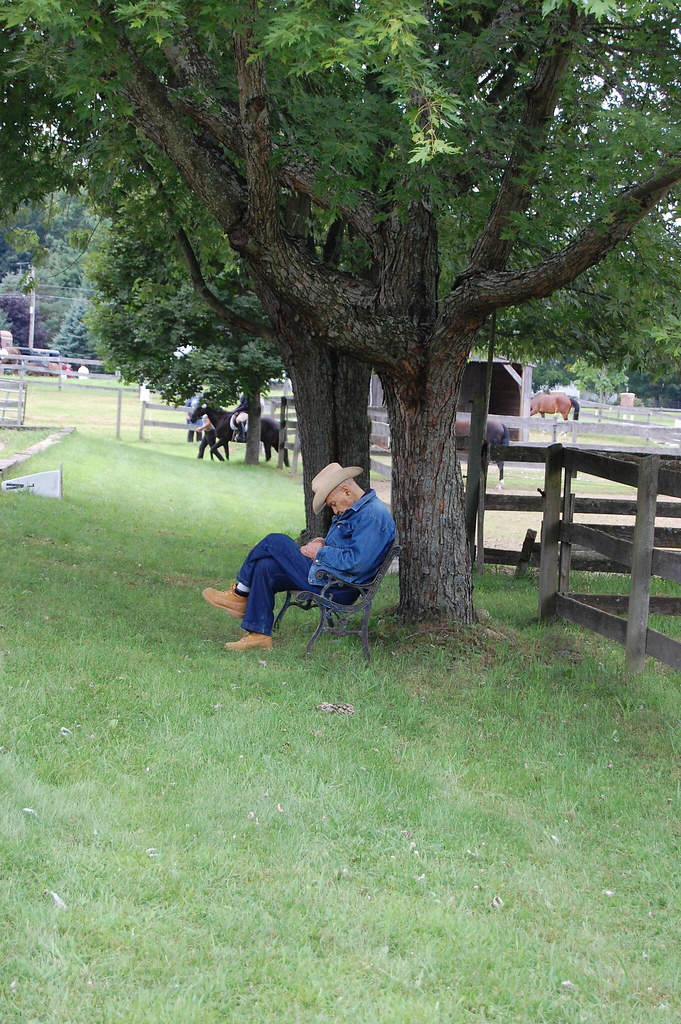 Sleeping under tree. An old man fell asleep on the old ben… Flickr