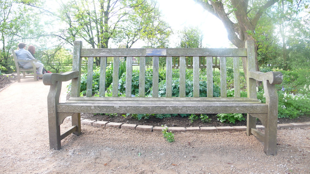 Will & Lyra's bench in the Botanical Gardens in Oxford