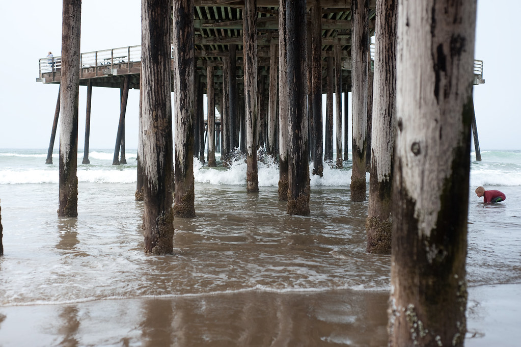 the pismo beach disaster msr Flickr