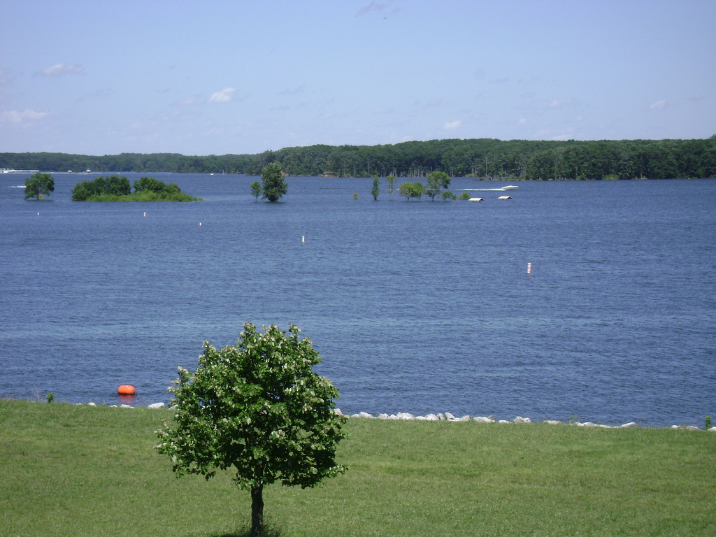 Lake Shelbyville Il Waterfront Homes For Sale at Carol Gamble blog