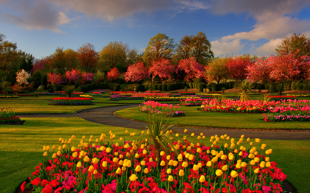 Spring Colours Victoria Park Glasgow On the way to the c… Flickr