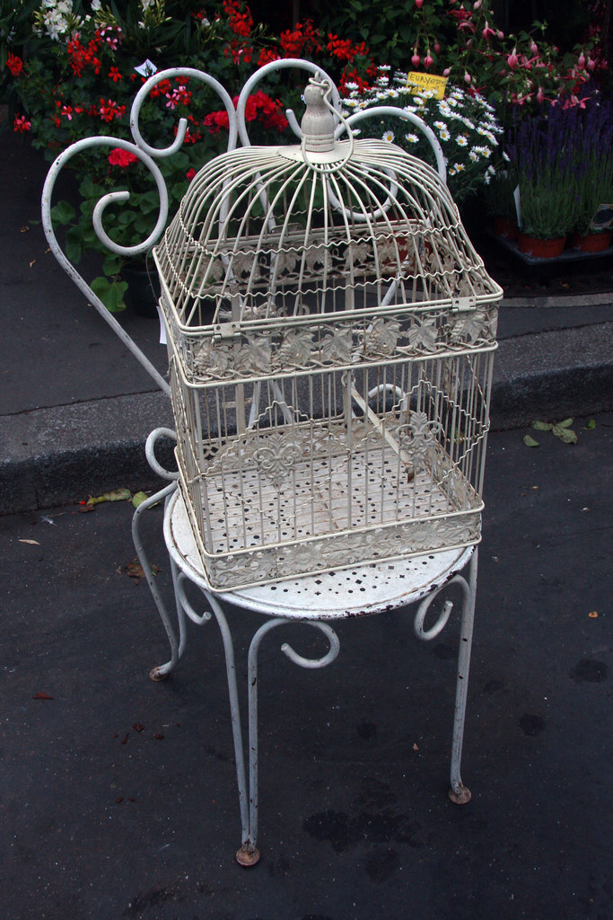 Antique bird cage & chair at the bird market...a disappoin… Flickr