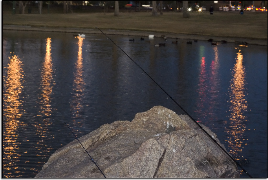 Two fishing poles at Riverview Park Pond firmsB Flickr