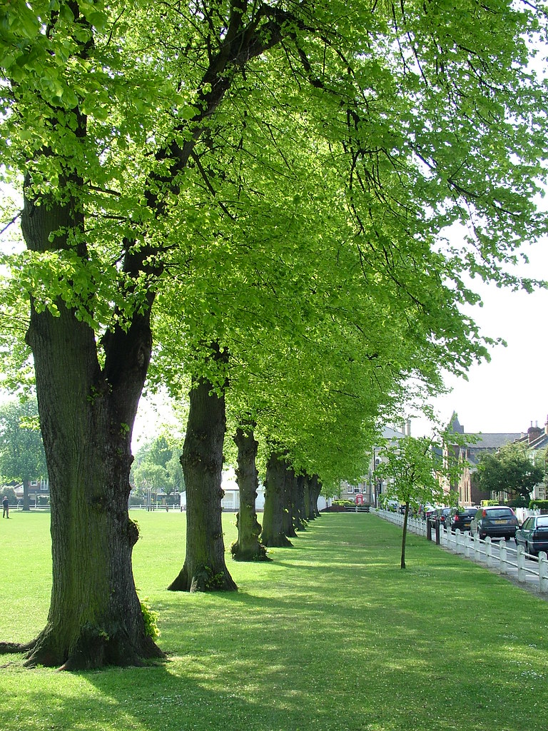 Twickenham Green April 2009 Flickr