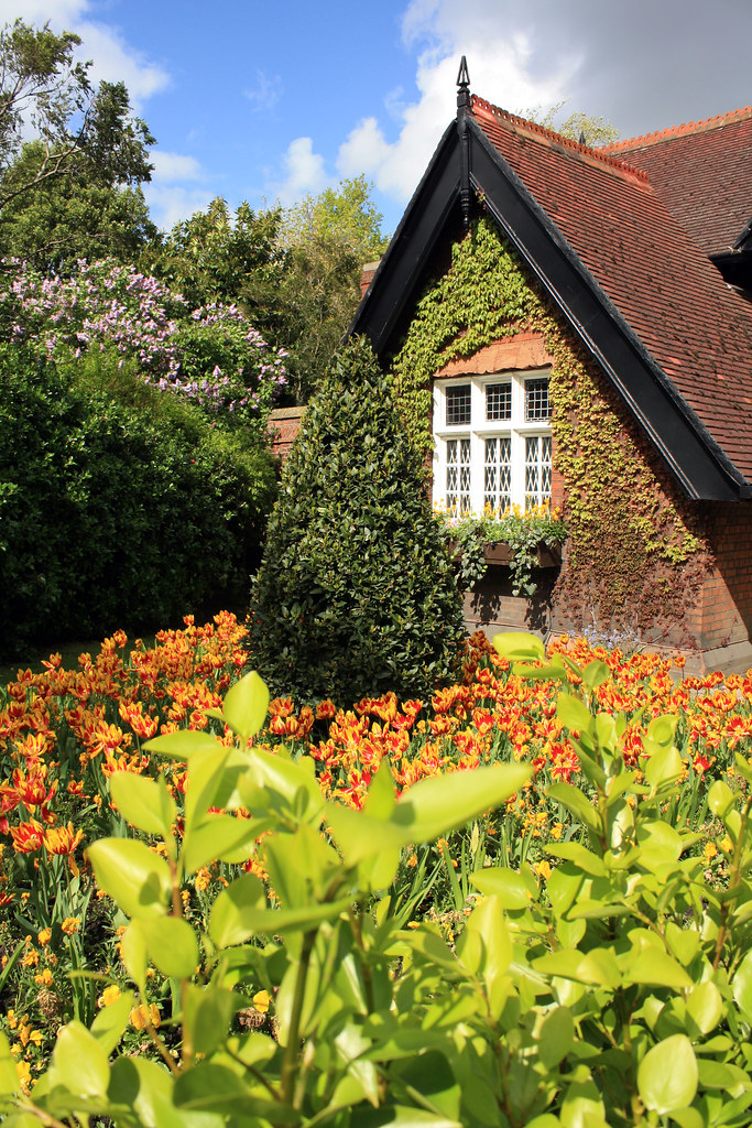 House of Flowers A pretty little house in St. Stephan's Gr… SBC9