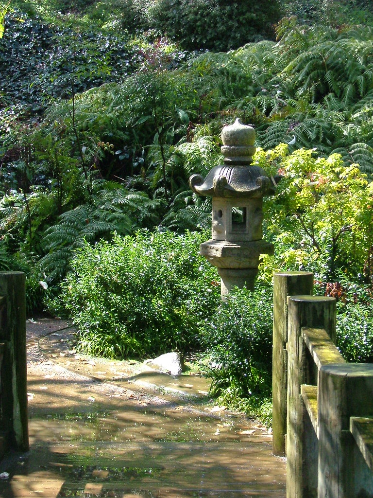 DSCF6958 Zen awesome! San Francisco Botanical Gardens. ) Jen Scott