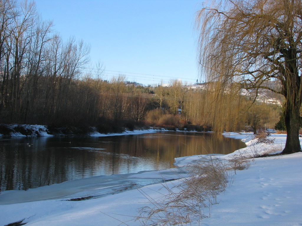 Sumas River, BC A winter view of the Sumas River at Hougen… Flickr