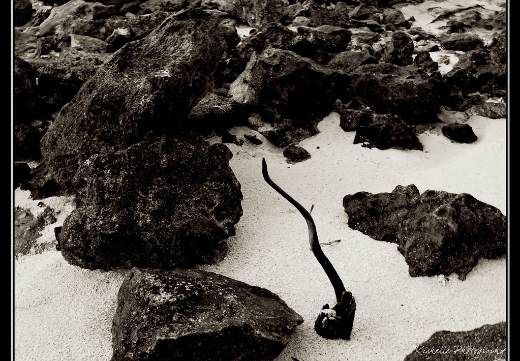 Where Do I Belong? Photo at Jaws Beach ( Nassau Bahamas) w… Flickr