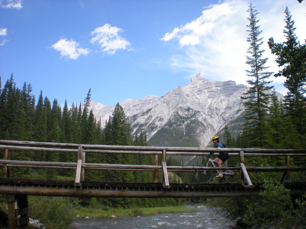 Lynn Crossing a Bridge over Goat Creek July 18, 2009 Clare Reda