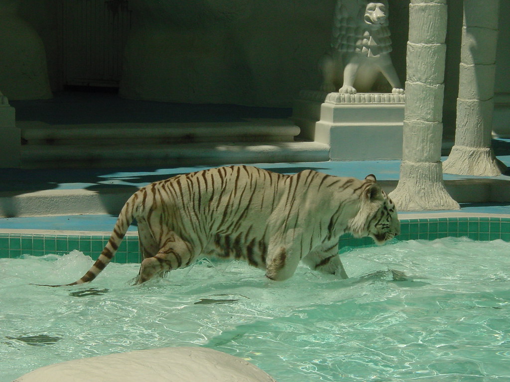 Las Vegas, The Mirage Hotel, Siegfried & Roy's Secret Gard… Flickr