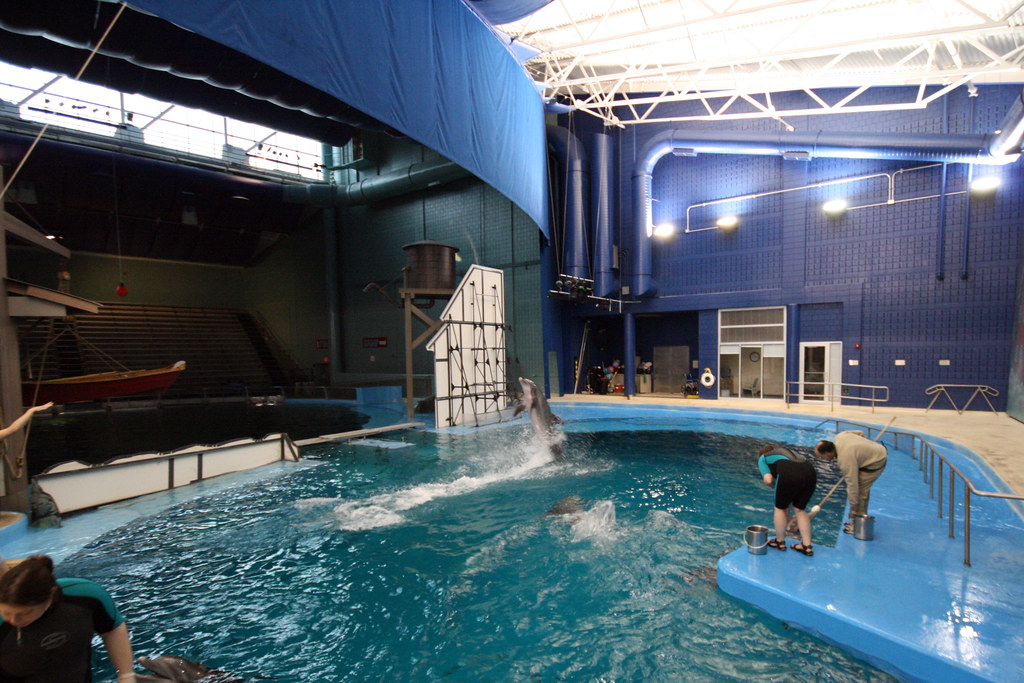 Indianapolis Zoo Aquarium The Indianapolis Zoo’s Marine Ma… Flickr
