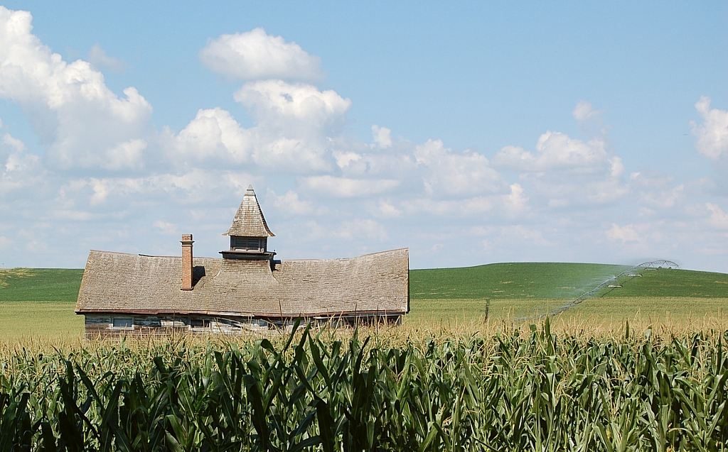 St. Edward Nebraska, Abandoned Horse Barn Supposedly this … Flickr