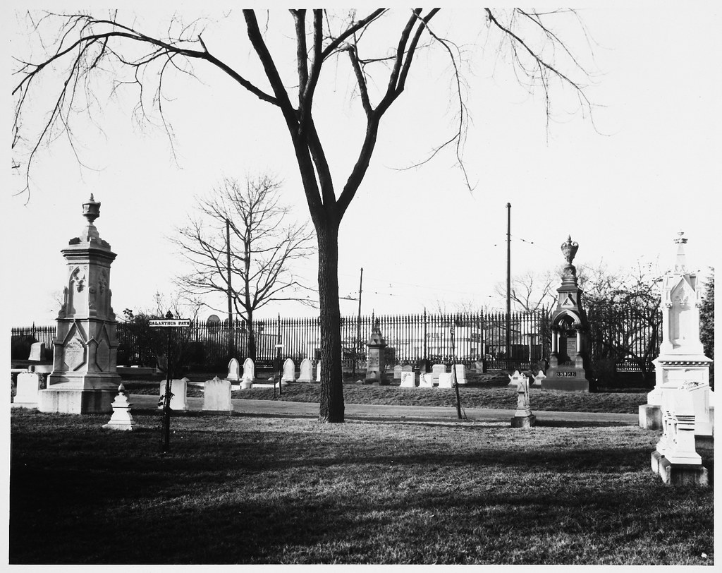 Mount Auburn Cemetery, Galanthus Path, North Boundary of P… Flickr